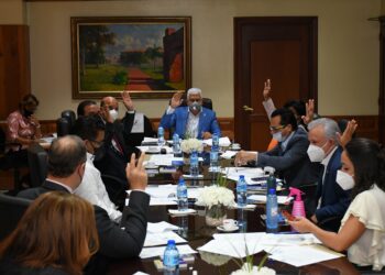 Comisión Especial del Senado que estudia la designación  de los Miembros de  JCE coordina programa de trabajo