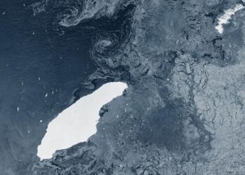Un iceberg 30 veces más grande que Miami va camino a impactar una isla y provocar una catástrofe ambiental