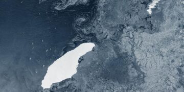 Un iceberg 30 veces más grande que Miami va camino a impactar una isla y provocar una catástrofe ambiental