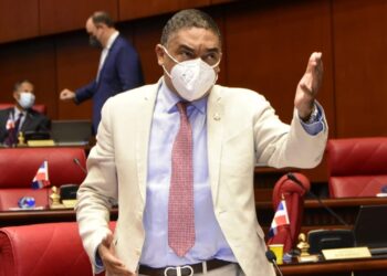 PLD acudirá a justicia por decisión Senado sobre segunda mayoría