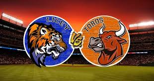 Partido entre Toros y Tigres se pospone por lluvia