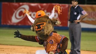 Los Toros del Este fueron los líderes de la semifinal ante Las Aguilas Cibaeñas.