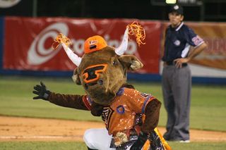 Los Toros del Este fueron los líderes de la semifinal ante Las Aguilas Cibaeñas.
