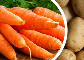 Gobierno pondrá RD$200 millones para la producción de papa y zanahoria con el fin de reducir precios