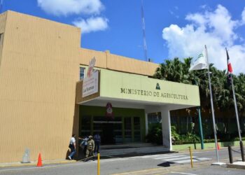 ANPA y PLD demandan reposición de técnicos cancelados y nombramiento de contratados