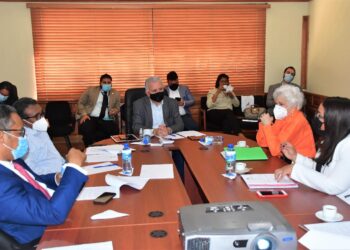 Senado de la República escucha opinión de Milagros Ortiz Bosch sobre proyecto de ley que crea la Dirección General de Ética y Transparencia