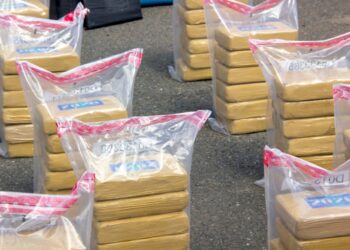 Autoridades ocupan en las costas de La Altagracia 175 paquetes presumiblemente de cocaína