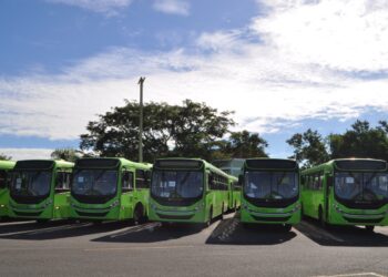 OMSA informa sobre corredor Núñez de Cáceres; anuncia reforzará otras rutas