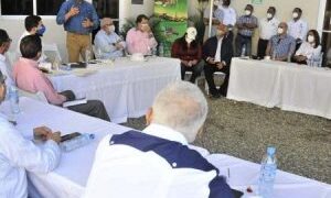 Agricultura refuerza medidas fitosanitarias para evitar peligroso hongo que afecta al banano