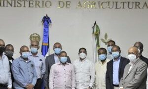 Gobierno compraró 30 mil quintales semillas de habichuela para garantizar estabilidad en precio del grano