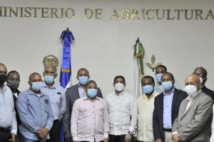 Gobierno compraró 30 mil quintales semillas de habichuela para garantizar estabilidad en precio del grano
