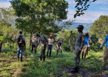 En Villa Altagracia denuncian nueva invasión a Loma Novillero
