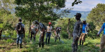 En Villa Altagracia denuncian nueva invasión a Loma Novillero