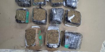 DNCD incauta más de 22 libras de marihuana en un sofá sería enviado a San Martín