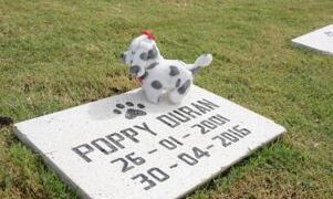 Parque del Prado Pet Cemetery realiza alianza con Alcaldías