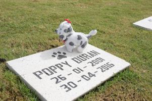 Parque del Prado Pet Cemetery realiza alianza con Alcaldías