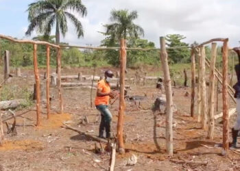 El CEA desaloja de terrenos a red de invasores en el distrito municipal de Gonzalo, de SGB