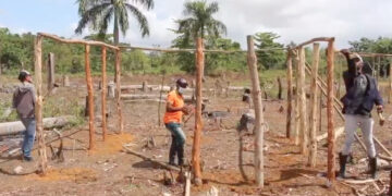 El CEA desaloja de terrenos a red de invasores en el distrito municipal de Gonzalo, de SGB