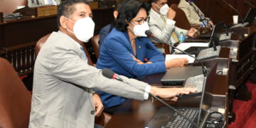 Diputados aprueban resolución que instruye a Cultura a promover y difundir el merengue