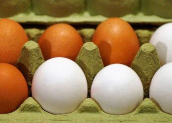 Agricultura interviene en precios del huevo