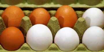 Agricultura interviene en precios del huevo