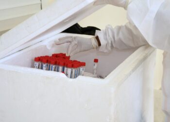 MSP realiza 2,458 pruebas COVID-19 en últimas 24 horas