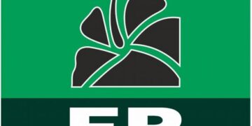 Bloque de Diputados FP denunció posible trama en JCE para desacatar sentencia de TSA