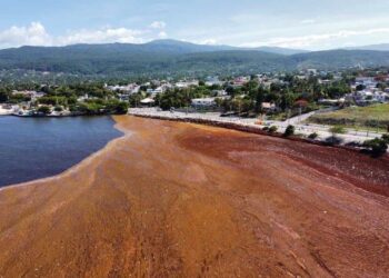 Jorge Mera anuncia plan de trabajo para retirar el sargazo en playas de Barahona