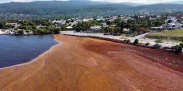 Jorge Mera anuncia plan de trabajo para retirar el sargazo en playas de Barahona