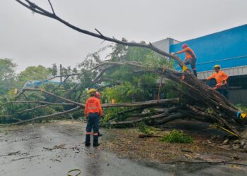 Defensa Civil realiza labores preventivas y de respuesta tras paso del fenómeno