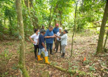 Entidades exploran restos de un posible ingenio de más de 500 años en el Higüero