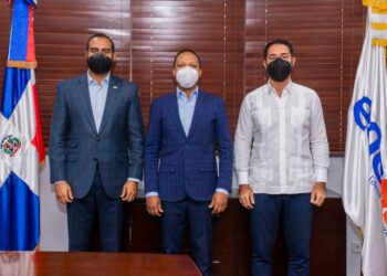 EDESUR y CODESSD abordan contaminación visual por cableado de empresas telefónicas y de cables