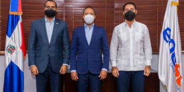 EDESUR y CODESSD abordan contaminación visual por cableado de empresas telefónicas y de cables