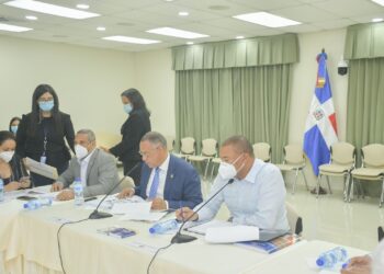 Comisión Bicameral avanza el estudio del proyecto de Código Penal hasta el artículo 210