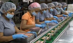 Exportaciones de Zonas Francas aumentan 26.6 por ciento durante enero-septiembre