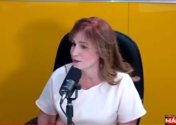 Circe Almánzar dice no hay decrecimiento notable en exportaciones a Haití