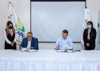 Mercadom e Industria y Comercio acuerdan fortalecer las capacidades exportadoras de los productores agrícolas