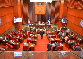 Senado aprueba en primera lectura transformación  del DNI