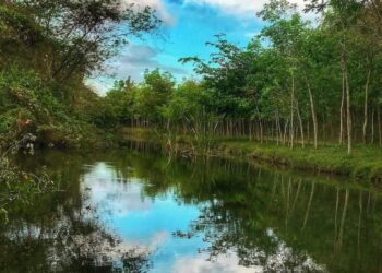 Presidente Abinader emite decreto 29-22 que crea el Refugio de Vida Silvestre Humedales de Laguna Prieta