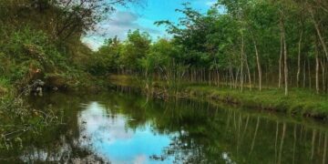 Presidente Abinader emite decreto 29-22 que crea el Refugio de Vida Silvestre Humedales de Laguna Prieta