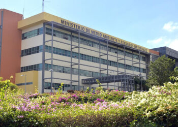 Medio Ambiente trabaja en casos de araña violinista detectados en Valverde￼