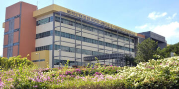 Medio Ambiente trabaja en casos de araña violinista detectados en Valverde