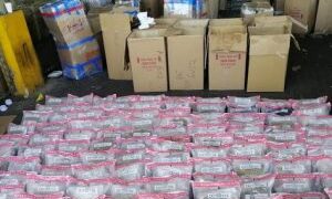 DNCD ocupa 220 paquetes de marihuana en el Puerto de Haina, que llego desde EE.UU
