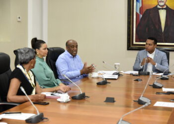 Diputados dialogan con ministro de Energía y Minas sobre proyecto de ley que formaliza la creación de Punta Catalina