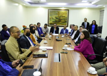 Comisión de diputados da toques finales a proyecto de comercio marítimo