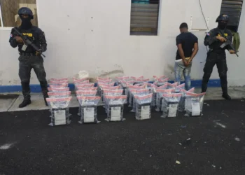 Apresan a camionero con 212 paquete de cocaína en Peravia