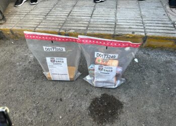 Descubren caletas con 15 paquetes presumiblemente de cocaína en casos de Piantini y Bani