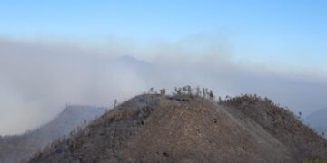 FARD contribuye a sofocar incendio en el Valle Nuevo, Constanza