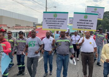 Federación de Cooperativas Eléctricas denuncia boicot de Edeeste a sus cooperativas y miembros