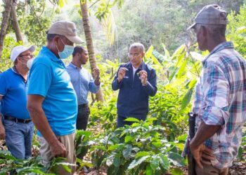 UTEPDA desarrolla Proyectos Agroforestales para los dominicanos de escasos recursos económicos que viven en las lomas